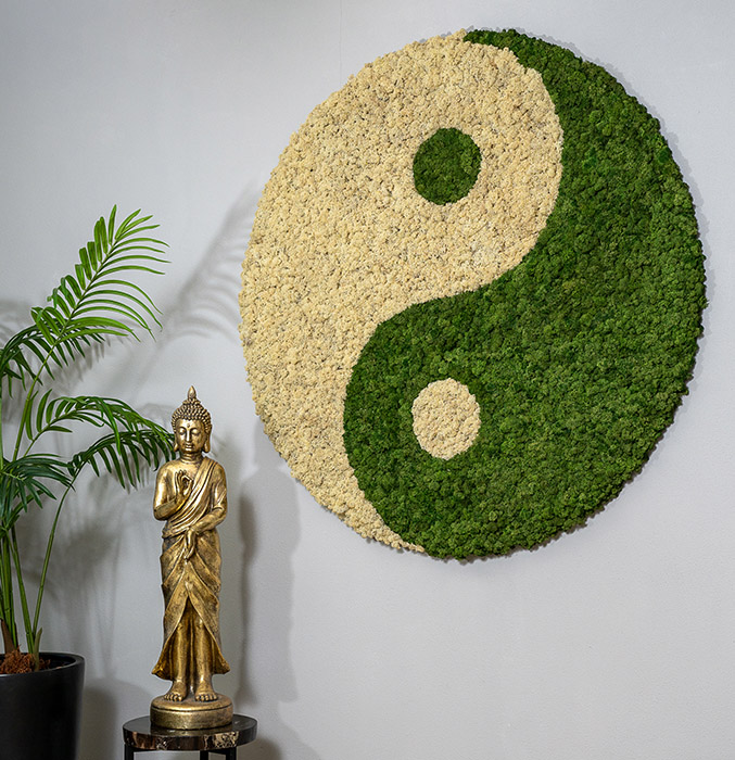 acupunctuur-druten Acupunctuur - Sen voetreflex en acupunctuur