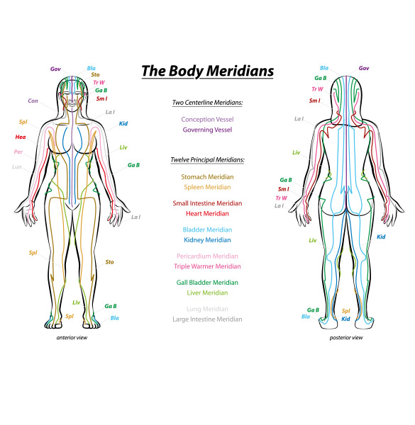 body-meridians Voetreflex Plus - Sen Voetreflexpraktijk