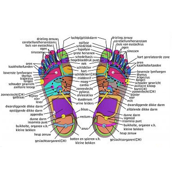 voetreflex-kaart Voetreflex Plus - Sen Voetreflexpraktijk